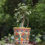 Hand Painted Madhubani Planter - Image 2