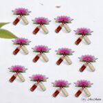 Haldi Kumkum / Roli Chawal Return Gifts – Pack of 12 - Image 6